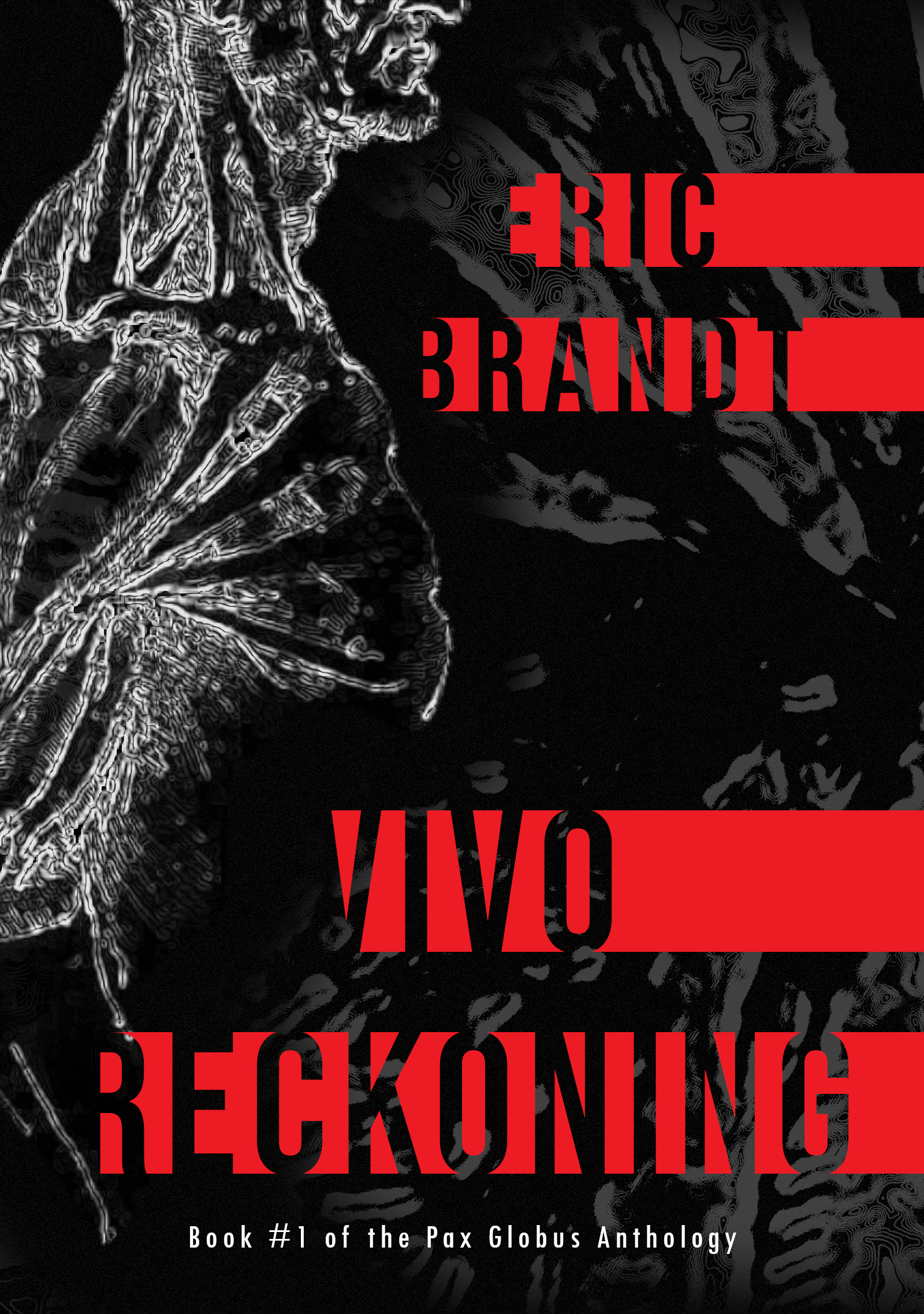 Cover of Vivo Reckoning book